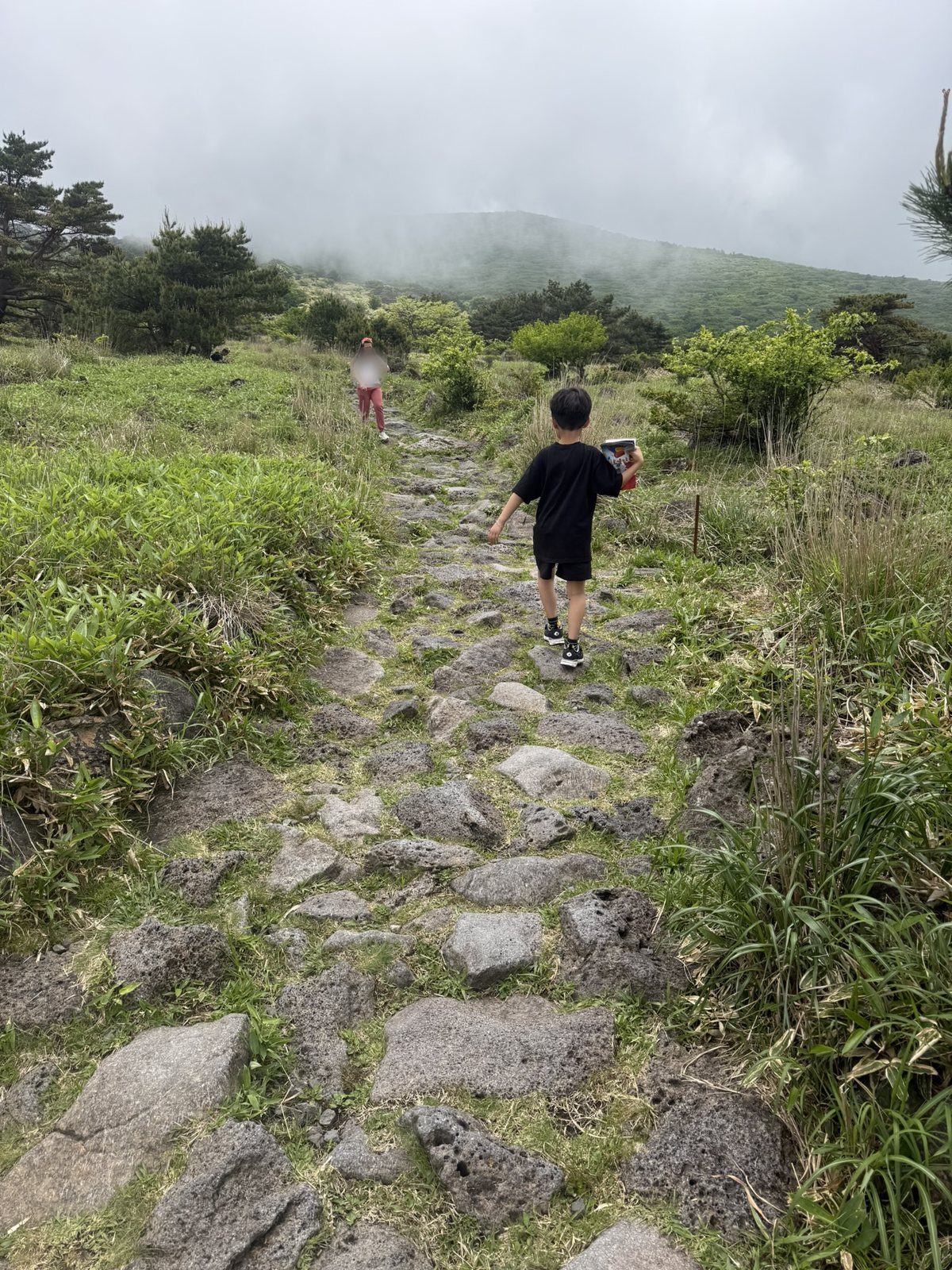 안개 낀 한라산 영실 코스 돌길을 걷는 아이