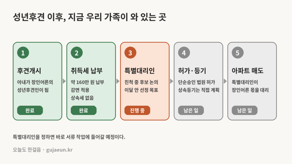 성년후견 개시, 취득세 납부, 특별대리인 선정, 허가와 상속등기, 아파트 매도로 이어지는 진행 상황
